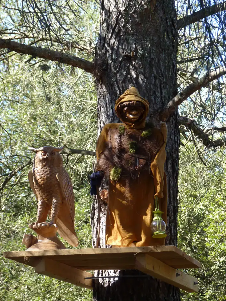décoration de la fôret enchantée en Vaucluse un univers magique