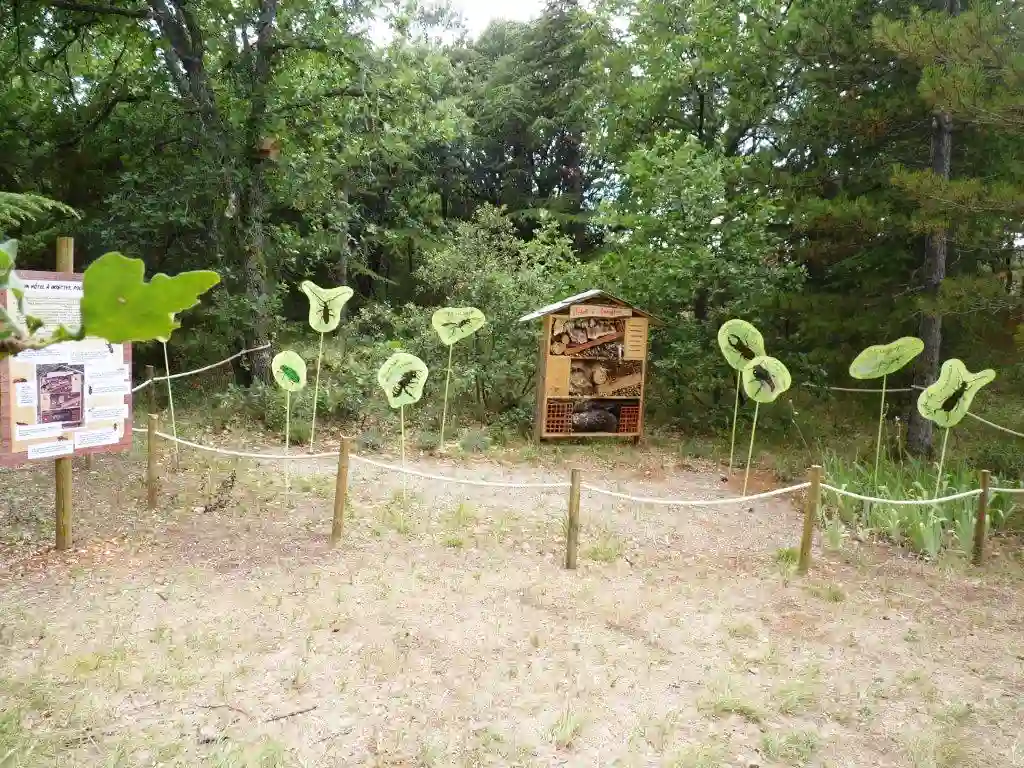 Parcours pédagogique sur le thème de l'arbre — La Forêt Enchantée, Malemort-du-Comtat