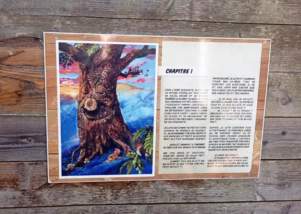 les aventures de Pistou, un lutin espiègle. Conte illustré La forêt enchantée