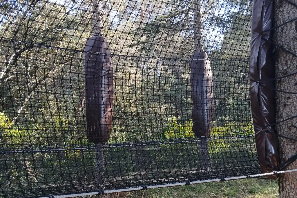 un filer geant pour une activite de loisirs en provence à la foret enchantee dans le vaucluse