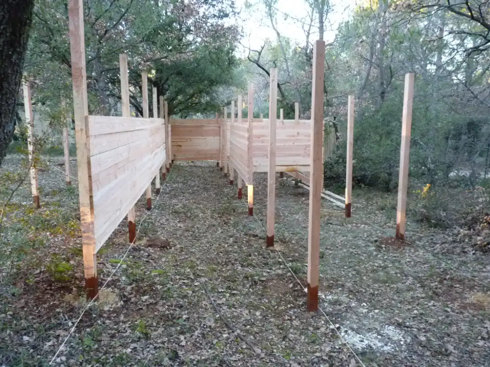 les debuts de la foret enchantee avec la construction